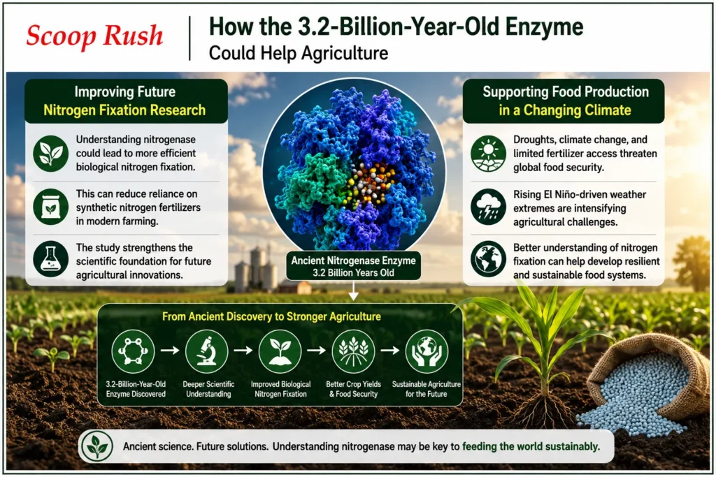 How the 3.2-Billion-Year-Old Enzyme Could Help Agriculture