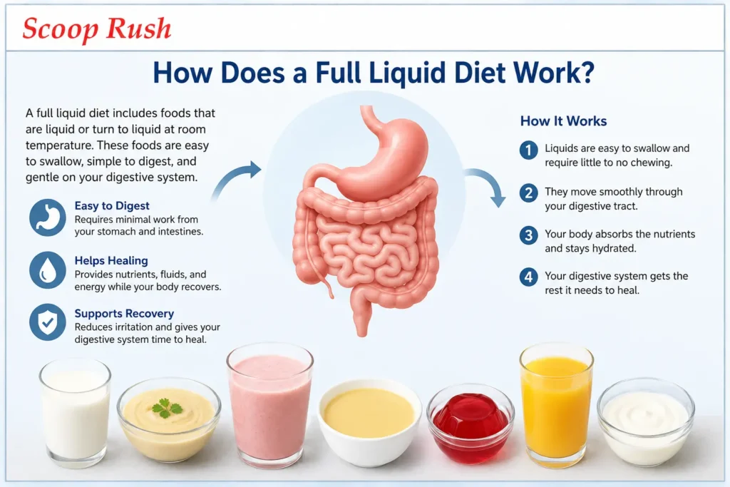 How Does a Full Liquid Diet Work? |Scoop Rush