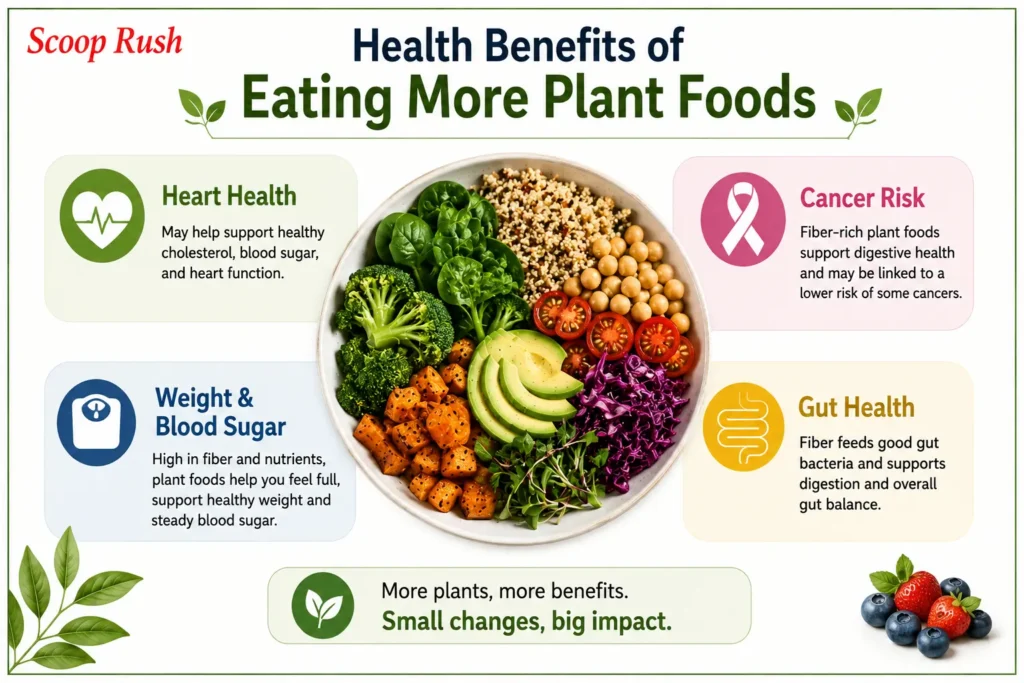 Health Benefits of Eating More Plant Foods|Scoop Rush