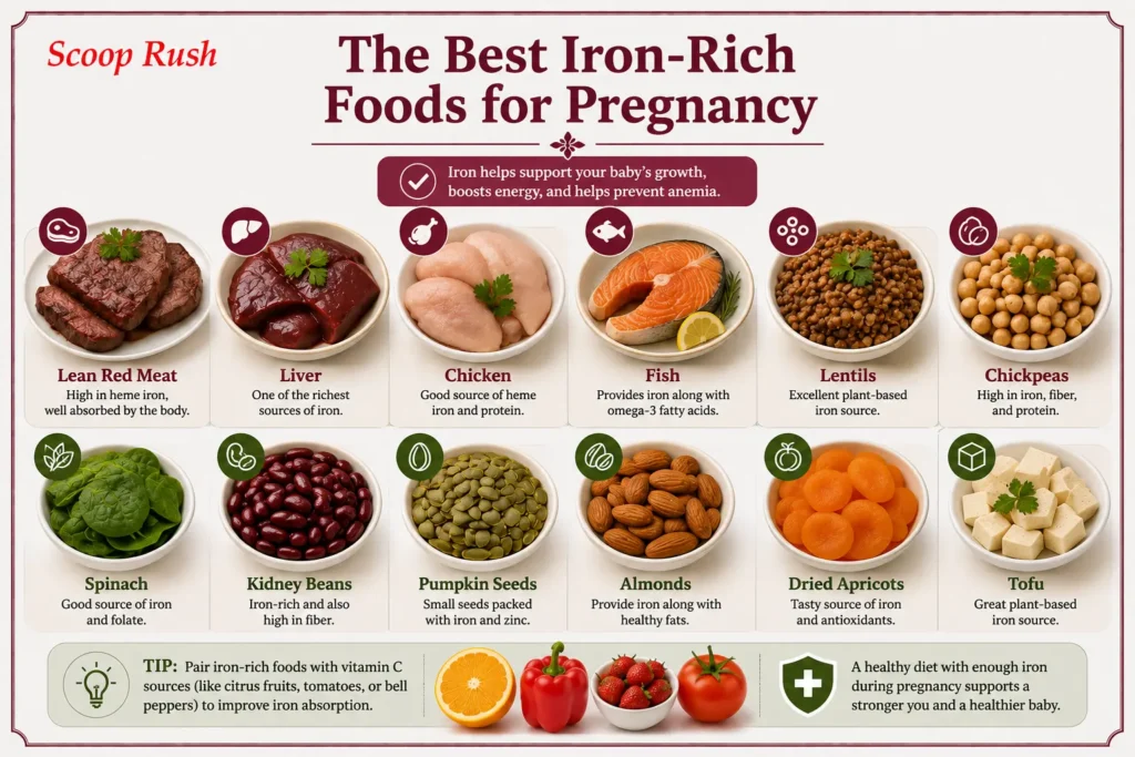 The Best Iron-Rich Foods for Pregnancy|Scoop Rush