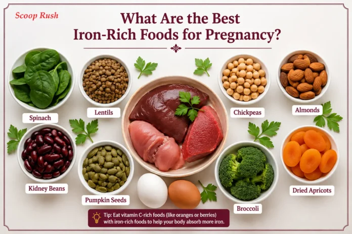What Are the Best Iron-Rich Foods for Pregnancy?